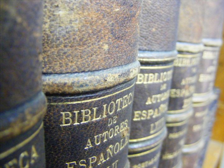 biblioteca 017 copy.jpg